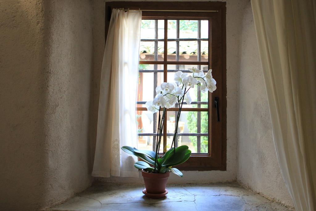 Posada Restaurante Casa De La Sal Канделарио Экстерьер фото